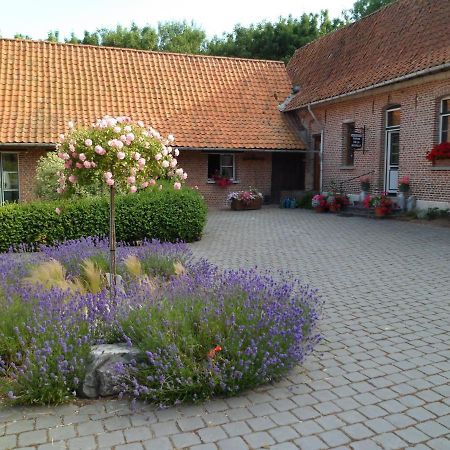 Gîte de la Noyelle à Sainghin en Mélantois Sainghin-en-Mélantois Exterior foto