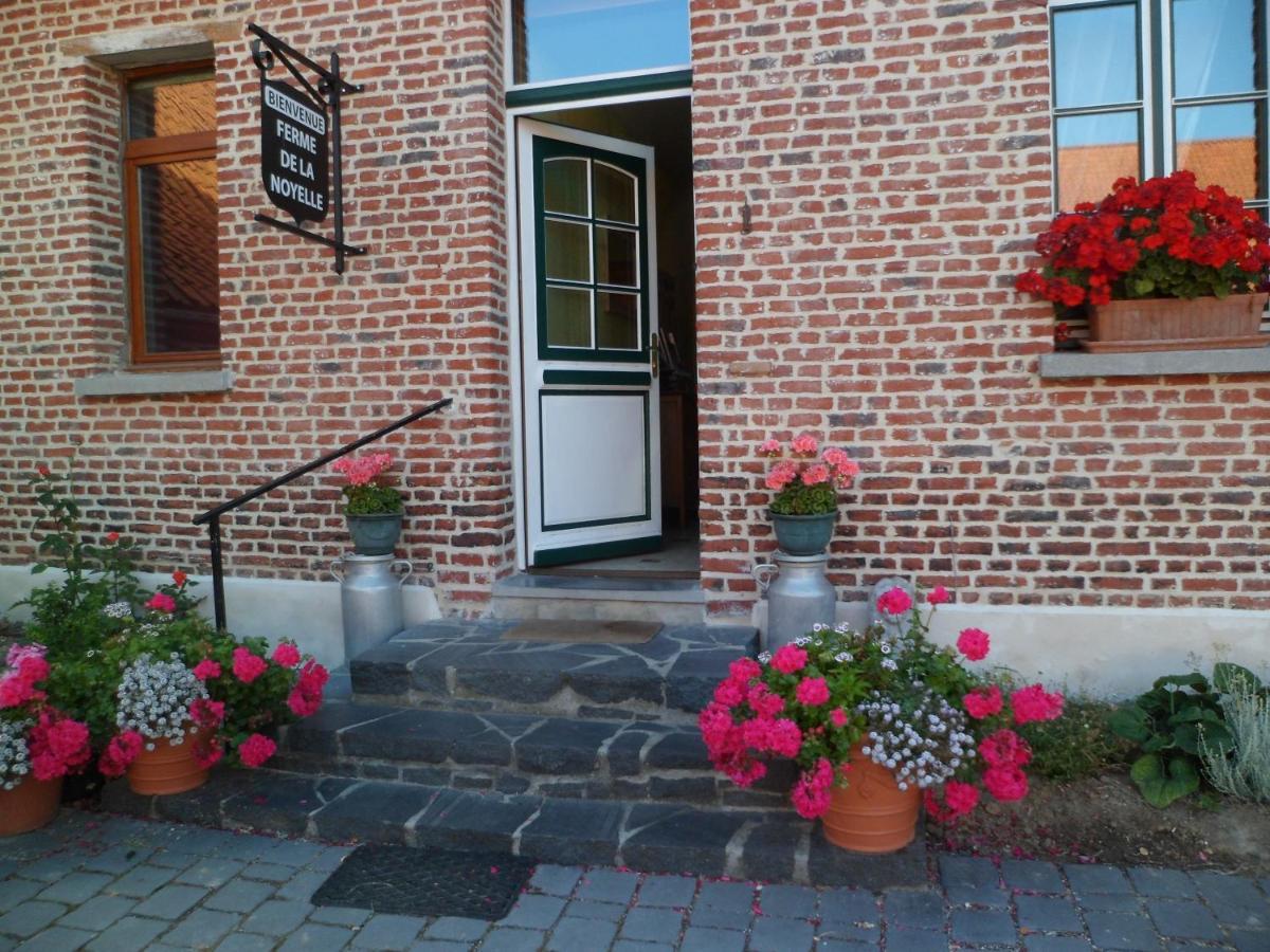 Gîte de la Noyelle à Sainghin en Mélantois Sainghin-en-Mélantois Exterior foto