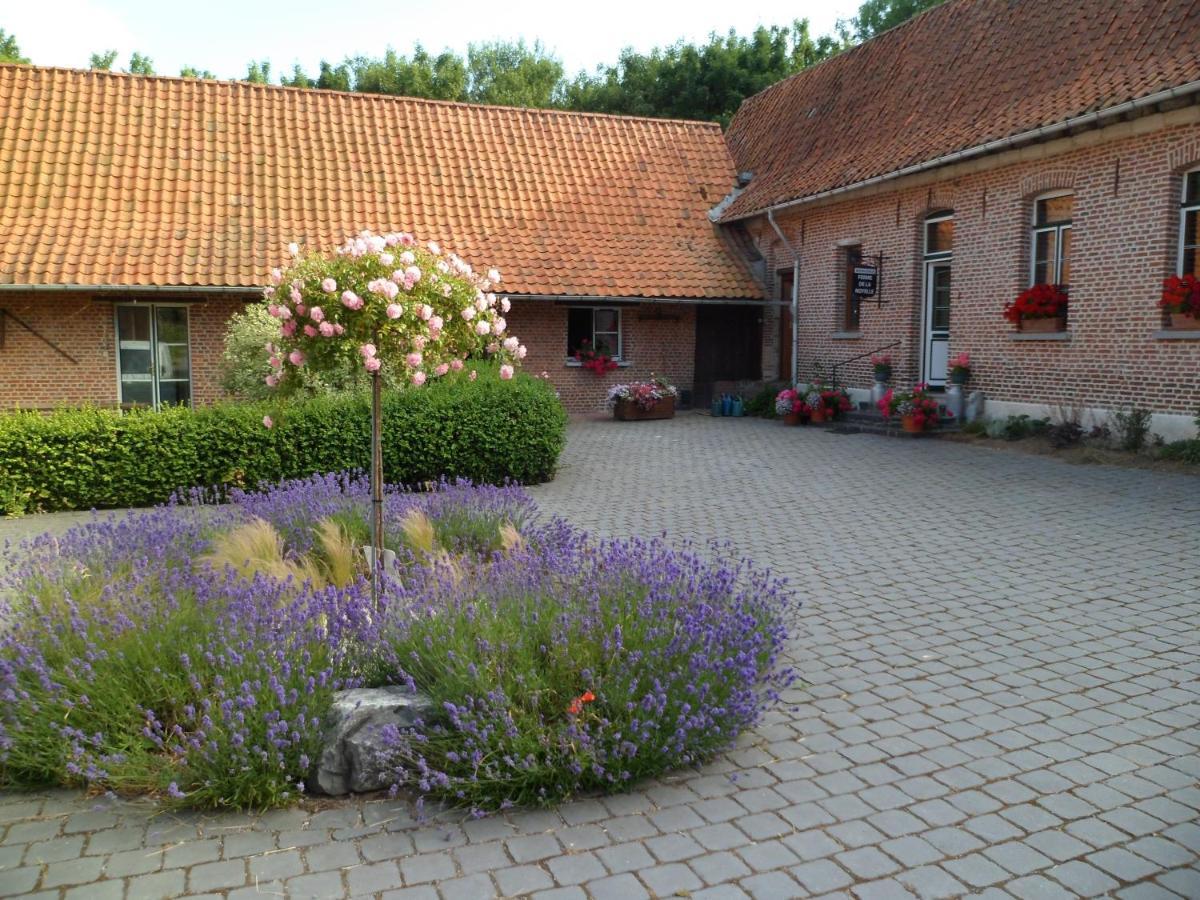 Gîte de la Noyelle à Sainghin en Mélantois Sainghin-en-Mélantois Exterior foto